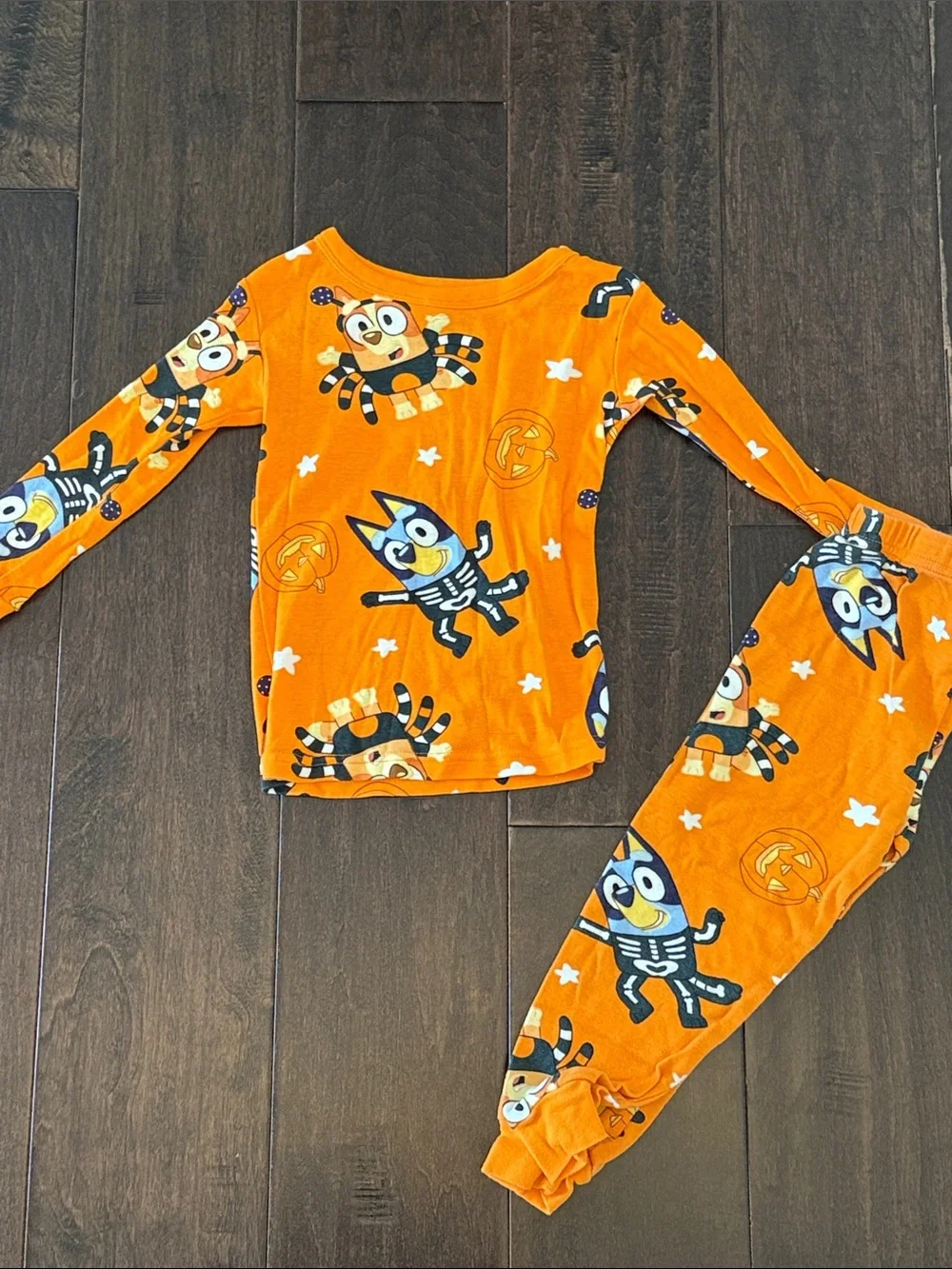 Gender Neutral Bluey and Bingo Kids Orange Skeleton Cartoon Pajama Set